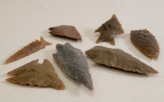 Scallorn points, from the collections at the Museum of the Coastal Bend