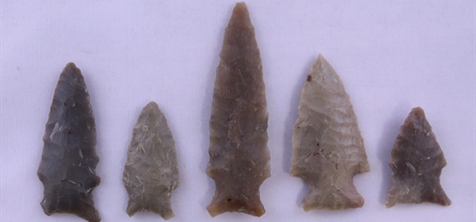 This photo shows five Fairland points from the Transitional Archaic period, all different in size and shape, yet still identifiable as Fairland.