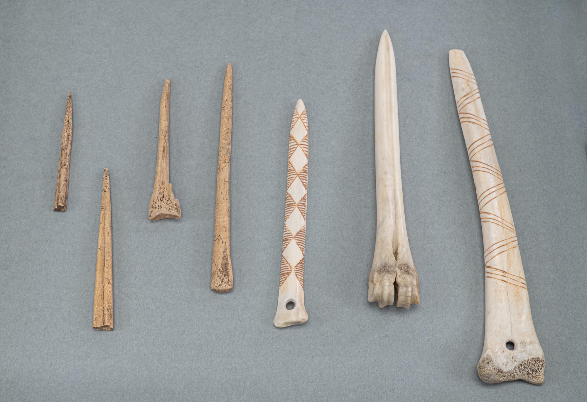 Bone tools have been in use since the dawn of human civilization. An awl is a pointed tool usually shaped from a long bone splinter. They were used for many purposes, but especially as aids in making baskets and for perforating worked hides.