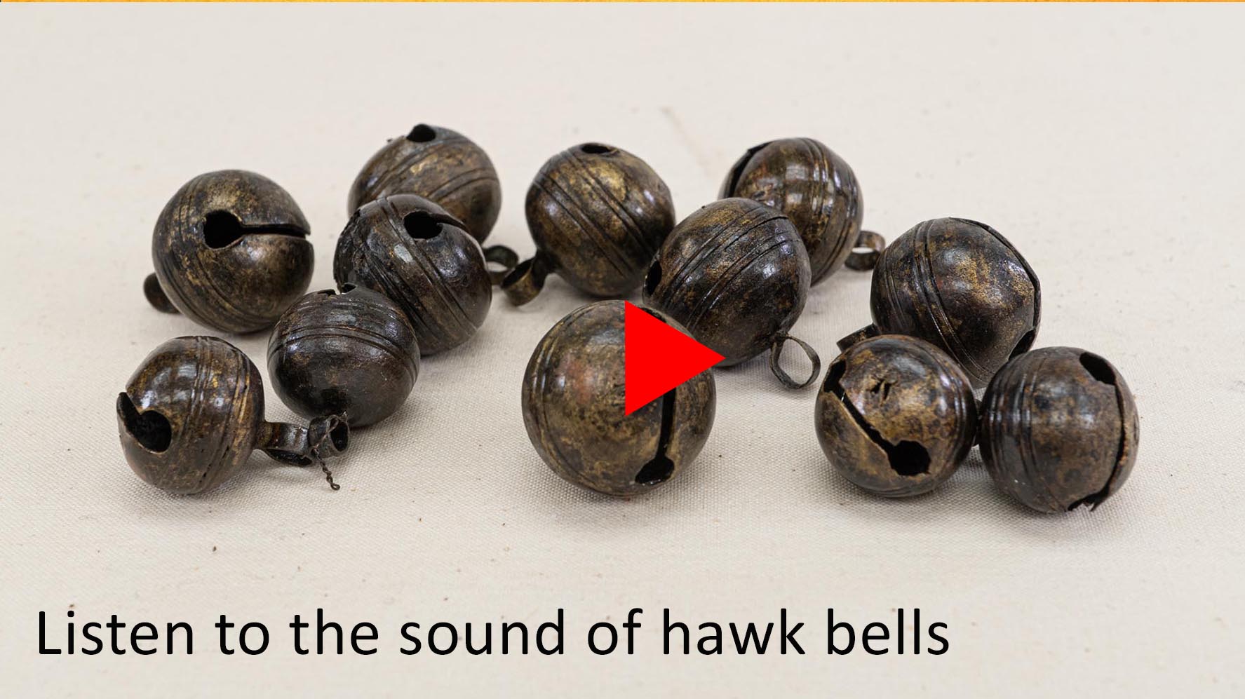 Hawk Bells Video