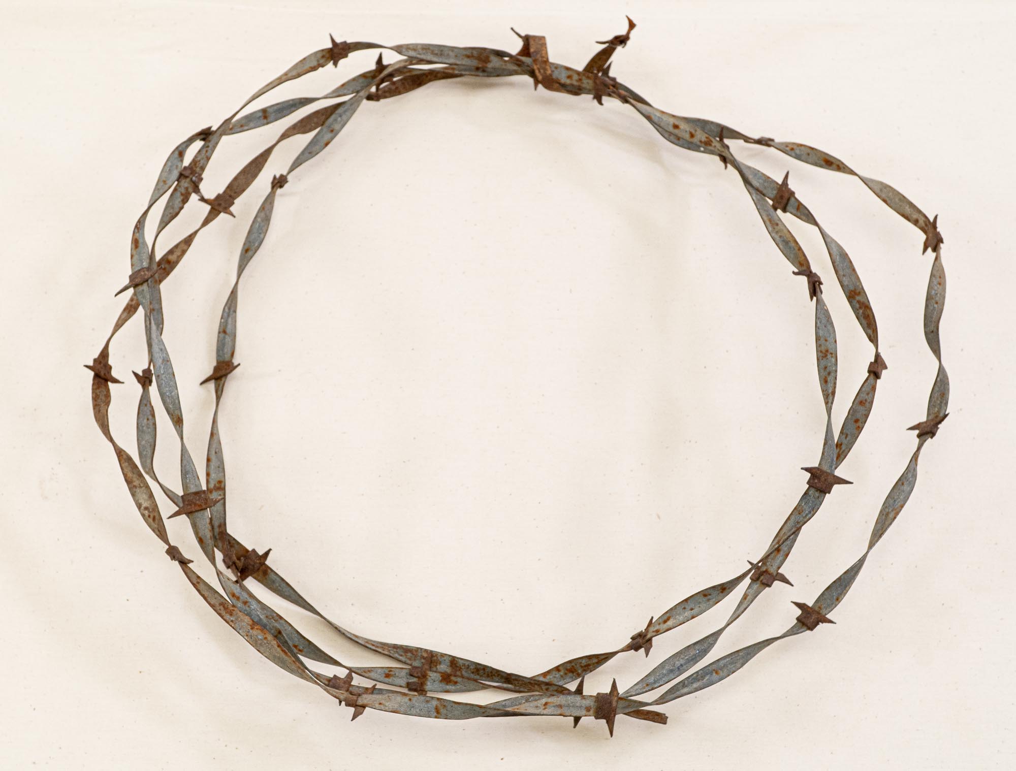 Barbed wire in the Ranching: Cattle Boom exhibit at the Museum of the Coastal Bend